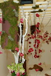 11032016_Hong Kong Flower Show_Ikebena00005