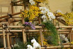 11032016_Hong Kong Flower Show_Ikebena00013