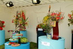11032016_Hong Kong Flower Show_Ikebena00022