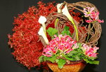11032016_Hong Kong Flower Show_Ikebena00031