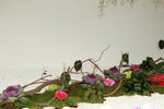 11032016_Hong Kong Flower Show_Ikebena00040
