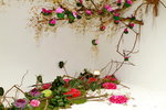 11032016_Hong Kong Flower Show_Ikebena00041
