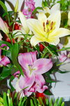 10022016_Lunar New Year Home Flower00015