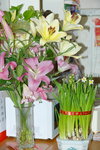 10022016_Lunar New Year Home Flower00026