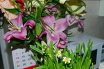 10022016_Lunar New Year Home Flower00068