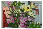 10022016_Lunar New Year Home Flower00080