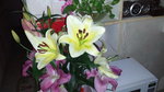 10022016_Lunar New Year Home Flower00099