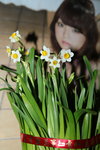 12022016_Lunar New Year Home Flower00008