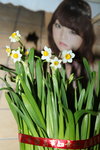 12022016_Lunar New Year Home Flower00009