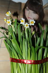 12022016_Lunar New Year Home Flower00010