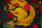 16032016_Hong Kong Flower Show 2016_Ikebena_Bonsai00020