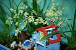 16032016_Hong Kong Flower Show 2016_Ikebena_Bonsai00029