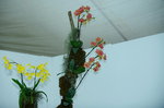 16032016_Hong Kong Flower Show 2016_Ikebena_Bonsai00042