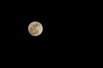 14112016_Largest Moon since 194800015