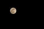 14112016_Largest Moon since 194800017