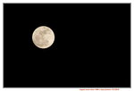14112016_Largest Moon since 194800019