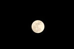14112016_Largest Moon since 194800021