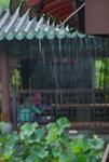24042016_Lingnan Garden_Bobo Au00008