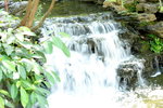 26032016_Lingnan Garden Snapshot00033