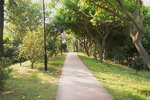 26032016_Lingnan Garden Snapshot00037