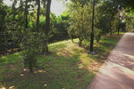 26032016_Lingnan Garden Snapshot00038