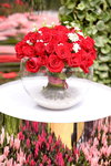 10032017_Hong Kong Flower Show 2017_Roses00004