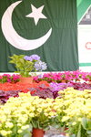 10032017_Hong Kong Flower Show 2017_Venue00013