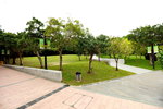 30052017_Taipo Waterfront Park Snapshots00035