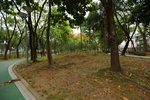 30052017_Yuen Shin Park Snapshots00003