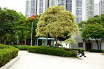 30052017_Yuen Shin Park Snapshots00013