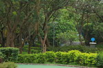 30052017_Yuen Shin Park Snapshots00017