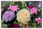 15022018_Victoria Park_CNY Flower Fair_Roses00008