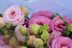 15022018_Victoria Park_CNY Flower Fair_Roses00009