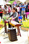 16032018_Hong Kong Flower Show 2018_Gu Zheng Performer_Nicole Ng00001