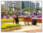 16032018_Hong Kong Flower Show 2018_Gu Zheng Performer_Nicole Ng00011