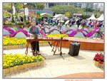 16032018_Hong Kong Flower Show 2018_Gu Zheng Performer_Nicole Ng00012