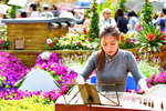 16032018_Hong Kong Flower Show 2018_Gu Zheng Performer_Nicole Ng00013