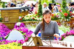16032018_Hong Kong Flower Show 2018_Gu Zheng Performer_Nicole Ng00018