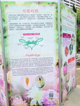 16032018_Samsung Smartphone Galaxy Edge S7_Hong Kong Flower Show 2018 in Victoria Park00005