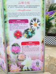 16032018_Samsung Smartphone Galaxy Edge S7_Hong Kong Flower Show 2018 in Victoria Park00006