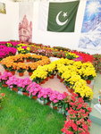 16032018_Samsung Smartphone Galaxy Edge S7_Hong Kong Flower Show 2018 in Victoria Park00010
