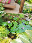 16032018_Samsung Smartphone Galaxy Edge S7_Hong Kong Flower Show 2018 in Victoria Park00013