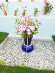 16032018_Samsung Smartphone Galaxy Edge S7_Hong Kong Flower Show 2018 in Victoria Park00022