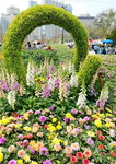 16032018_Samsung Smartphone Galaxy Edge S7_Hong Kong Flower Show 2018 in Victoria Park00045
