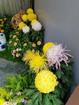 16032018_Samsung Smartphone Galaxy Edge S7_Hong Kong Flower Show 2018 in Victoria Park00047
