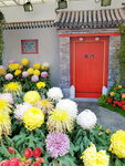 16032018_Samsung Smartphone Galaxy Edge S7_Hong Kong Flower Show 2018 in Victoria Park00051