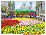 16032018_Samsung Smartphone Galaxy Edge S7_Hong Kong Flower Show 2018 in Victoria Park00068