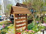 16032018_Samsung Smartphone Galaxy Edge S7_Hong Kong Flower Show 2018 in Victoria Park00071