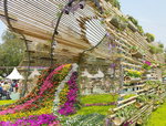 16032018_Samsung Smartphone Galaxy Edge S7_Hong Kong Flower Show 2018 in Victoria Park00074