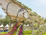 16032018_Samsung Smartphone Galaxy Edge S7_Hong Kong Flower Show 2018 in Victoria Park00075